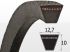 Curea AVP13x2575 La, Optibelt TRUCK POWER MARATHON 2