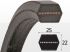 Curea 25x22x2879 Lw, AP1001030 Optibelt Agro Power, 6531210