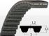 Curea D-STD 3M 690 (z=230) Bando