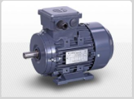 Motor 3f 4/8p 22/14KW TCD 200LB-4/8 B5 (750/1400 1/min) 400 V.50 HZ