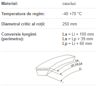 25x1240 Li Rubena