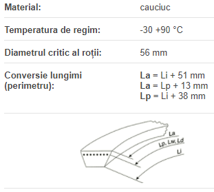 Curea AVX10x1000 La Power Belt