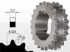 Roata de lant 06B Z19 BC1008, pt doua lanturi simple